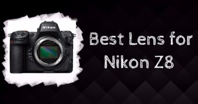 Best Lens for Nikon Z8