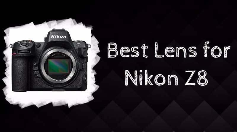 Best Lens for Nikon Z8